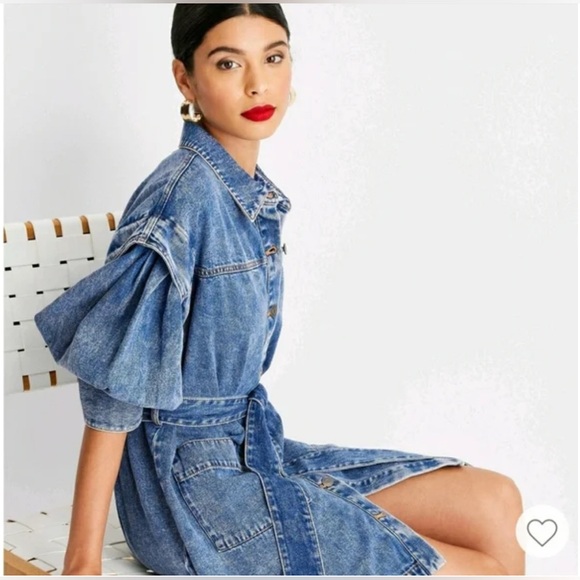 NWT Future Collective Kahlana Barfield Brown Long Sleeve Utility Denim Dress - Picture 6 of 6